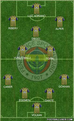 Fenerbahçe SK Formation 2015