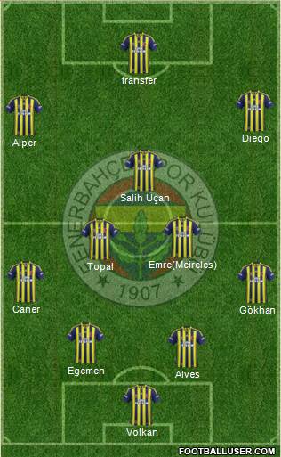 Fenerbahçe SK Formation 2015