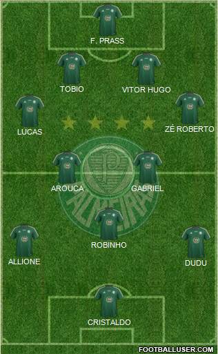SE Palmeiras Formation 2015
