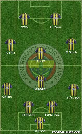 Fenerbahçe SK Formation 2015