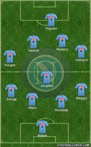 Napoli Formation 2015