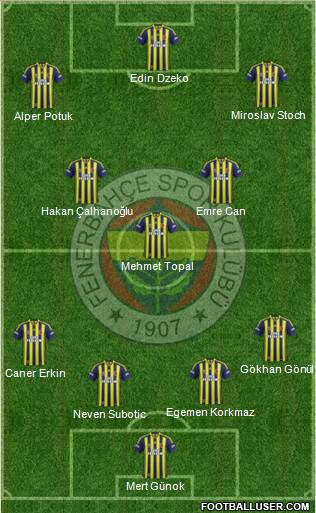Fenerbahçe SK Formation 2015