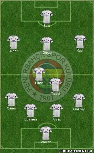 Fenerbahçe SK Formation 2015