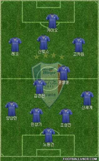 Suwon Samsung Blue Wings Formation 2015