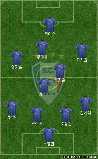 Suwon Samsung Blue Wings Formation 2015