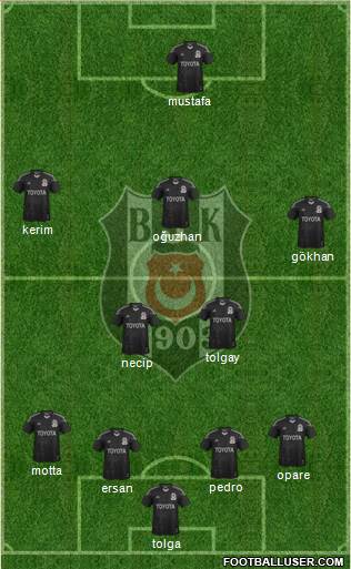 Besiktas JK Formation 2015