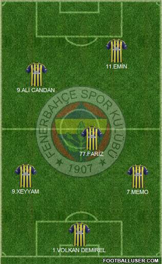 Fenerbahçe SK Formation 2015