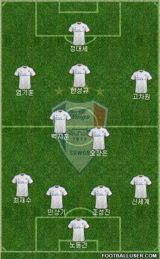 Suwon Samsung Blue Wings Formation 2015