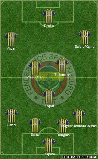 Fenerbahçe SK Formation 2015