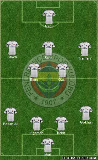 Fenerbahçe SK Formation 2015