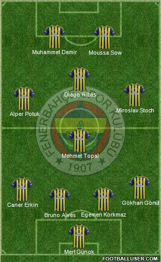 Fenerbahçe SK Formation 2015