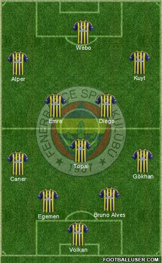 Fenerbahçe SK Formation 2015