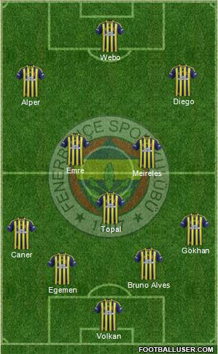 Fenerbahçe SK Formation 2015
