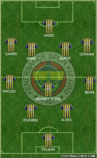 Fenerbahçe SK Formation 2015