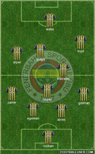 Fenerbahçe SK Formation 2015