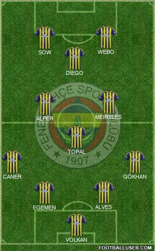 Fenerbahçe SK Formation 2015