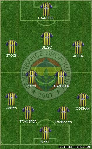 Fenerbahçe SK Formation 2015