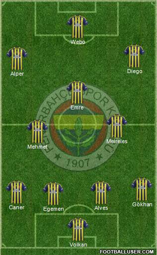 Fenerbahçe SK Formation 2015