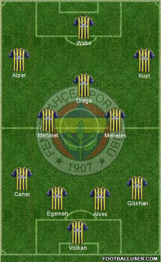 Fenerbahçe SK Formation 2015