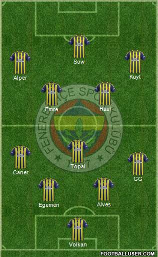 Fenerbahçe SK Formation 2015