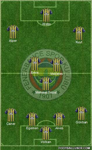 Fenerbahçe SK Formation 2015