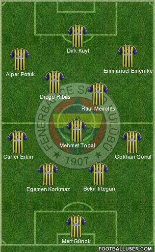 Fenerbahçe SK Formation 2015
