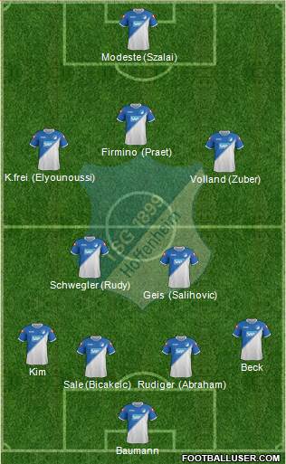 TSG 1899 Hoffenheim Formation 2015