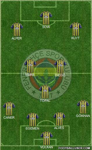 Fenerbahçe SK Formation 2015