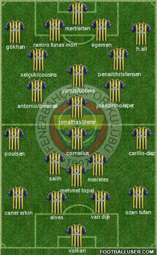 Fenerbahçe SK Formation 2015