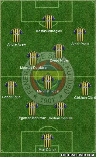 Fenerbahçe SK Formation 2015