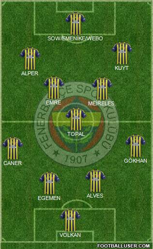 Fenerbahçe SK Formation 2015