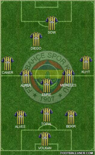 Fenerbahçe SK Formation 2015