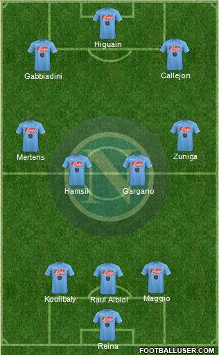 Napoli Formation 2015
