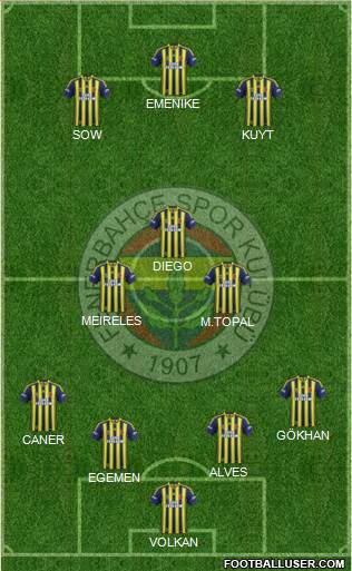 Fenerbahçe SK Formation 2015