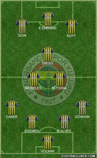 Fenerbahçe SK Formation 2015