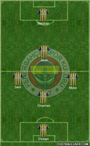 Fenerbahçe SK Formation 2015