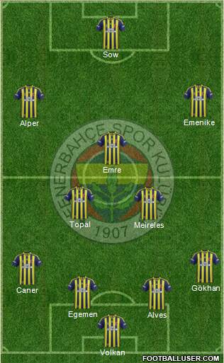 Fenerbahçe SK Formation 2015