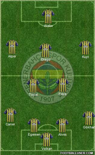 Fenerbahçe SK Formation 2015
