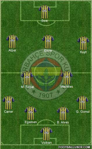 Fenerbahçe SK Formation 2015