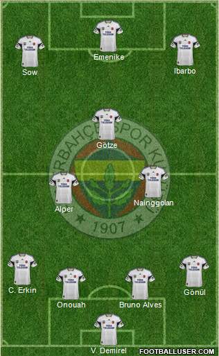 Fenerbahçe SK Formation 2015