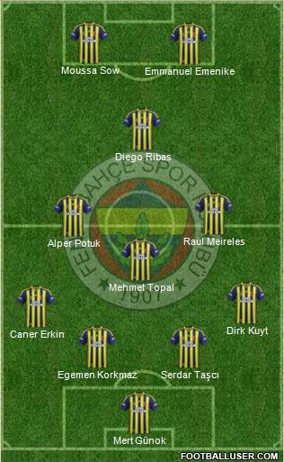Fenerbahçe SK Formation 2015