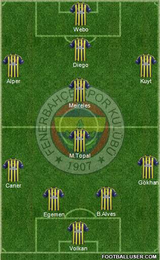 Fenerbahçe SK Formation 2015