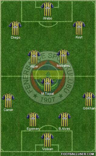 Fenerbahçe SK Formation 2015
