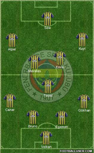 Fenerbahçe SK Formation 2015