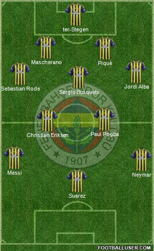 Fenerbahçe SK Formation 2015