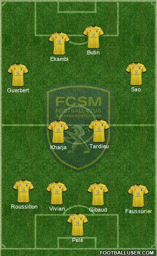FC Sochaux-Montbéliard Formation 2015