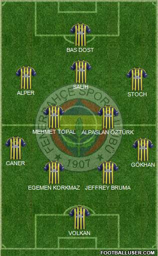 Fenerbahçe SK Formation 2015