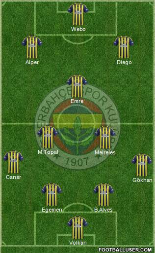 Fenerbahçe SK Formation 2015