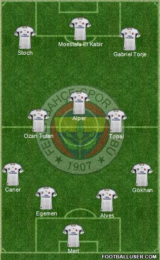 Fenerbahçe SK Formation 2015