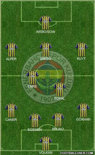 Fenerbahçe SK Formation 2015